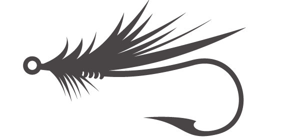 Fly Selection – The Really Important Stuff!