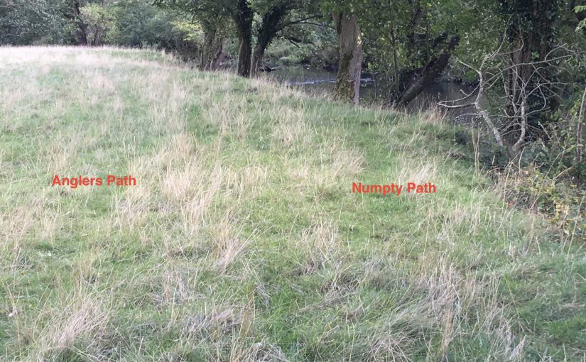A Tale of Two Paths