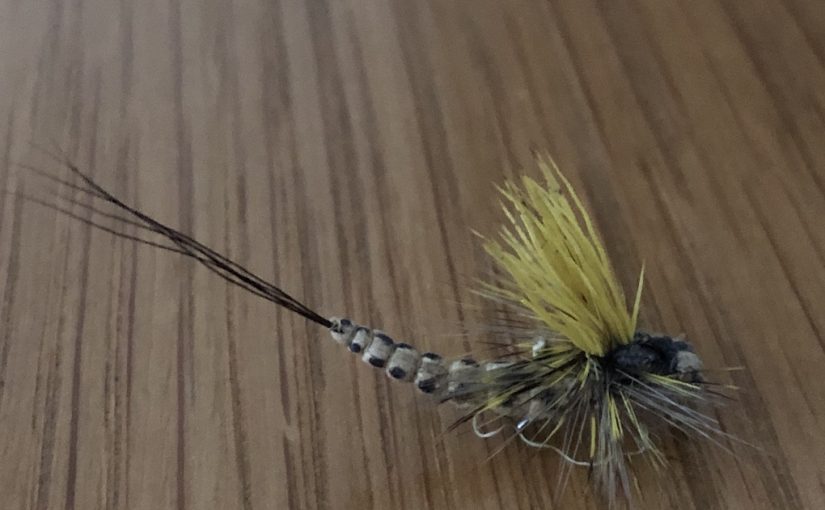 A Mayfly’s Story – Steve Yeomans